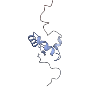 22887_7kim_Z_v1-1
Mycobacterium tuberculosis WT RNAP transcription closed promoter complex with WhiB7 transcription factor