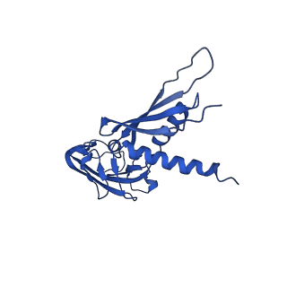 22888_7kin_A_v1-1
Mycobacterium tuberculosis WT RNAP transcription open promoter complex with WhiB7 promoter