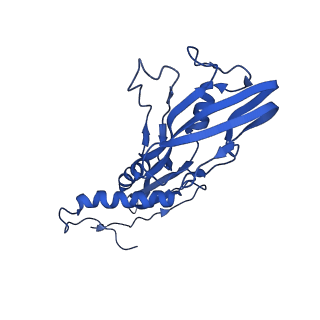 22888_7kin_B_v1-1
Mycobacterium tuberculosis WT RNAP transcription open promoter complex with WhiB7 promoter