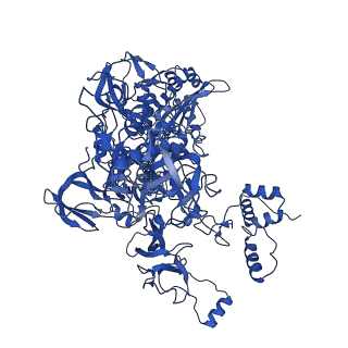22888_7kin_C_v1-1
Mycobacterium tuberculosis WT RNAP transcription open promoter complex with WhiB7 promoter