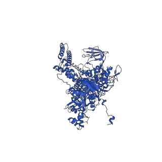 22888_7kin_D_v1-1
Mycobacterium tuberculosis WT RNAP transcription open promoter complex with WhiB7 promoter