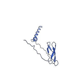 22888_7kin_J_v1-1
Mycobacterium tuberculosis WT RNAP transcription open promoter complex with WhiB7 promoter