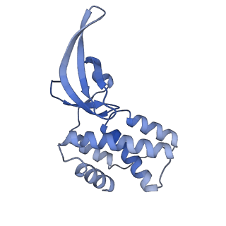 22888_7kin_M_v1-1
Mycobacterium tuberculosis WT RNAP transcription open promoter complex with WhiB7 promoter