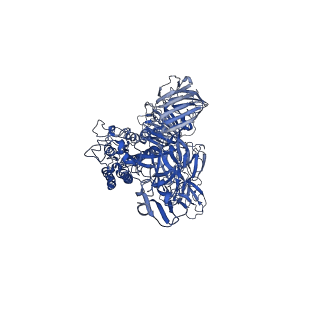 22889_7kip_A_v1-0
A 3.4 Angstrom cryo-EM structure of the human coronavirus spike trimer computationally derived from vitrified NL63 virus particles