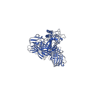 22889_7kip_B_v1-0
A 3.4 Angstrom cryo-EM structure of the human coronavirus spike trimer computationally derived from vitrified NL63 virus particles