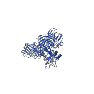 22889_7kip_C_v1-0
A 3.4 Angstrom cryo-EM structure of the human coronavirus spike trimer computationally derived from vitrified NL63 virus particles