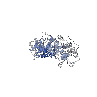 22890_7kiy_B_v1-0
Plasmodium falciparum RhopH complex in soluble form