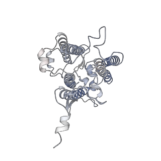 9994_6kif_1_v1-2
Structure of cyanobacterial photosystem I-IsiA-flavodoxin supercomplex