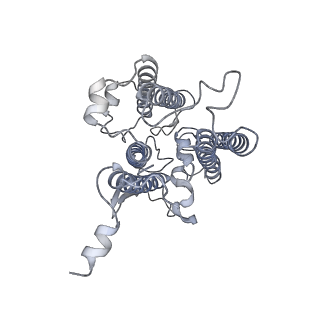 9994_6kif_2_v1-2
Structure of cyanobacterial photosystem I-IsiA-flavodoxin supercomplex