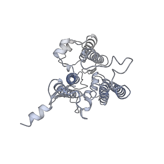 9994_6kif_3_v1-2
Structure of cyanobacterial photosystem I-IsiA-flavodoxin supercomplex