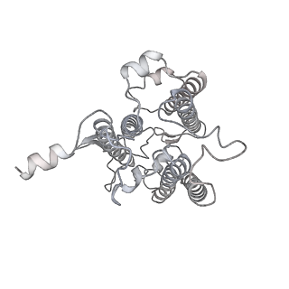 9994_6kif_4_v1-2
Structure of cyanobacterial photosystem I-IsiA-flavodoxin supercomplex