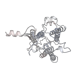 9994_6kif_5_v1-2
Structure of cyanobacterial photosystem I-IsiA-flavodoxin supercomplex