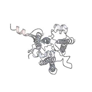 9994_6kif_6_v1-2
Structure of cyanobacterial photosystem I-IsiA-flavodoxin supercomplex