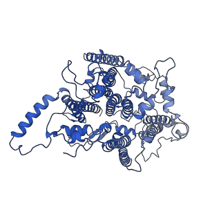 9994_6kif_B_v1-2
Structure of cyanobacterial photosystem I-IsiA-flavodoxin supercomplex