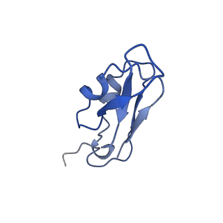 9994_6kif_C_v1-2
Structure of cyanobacterial photosystem I-IsiA-flavodoxin supercomplex