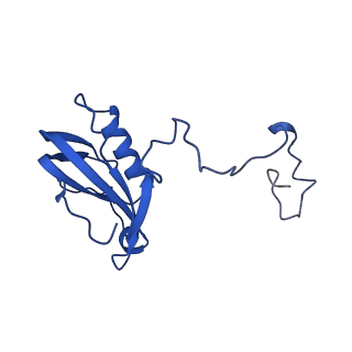 9994_6kif_D_v1-2
Structure of cyanobacterial photosystem I-IsiA-flavodoxin supercomplex