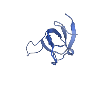 9994_6kif_E_v1-2
Structure of cyanobacterial photosystem I-IsiA-flavodoxin supercomplex