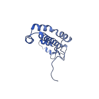 9994_6kif_F_v1-2
Structure of cyanobacterial photosystem I-IsiA-flavodoxin supercomplex