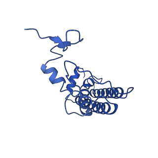 9994_6kif_L_v1-2
Structure of cyanobacterial photosystem I-IsiA-flavodoxin supercomplex