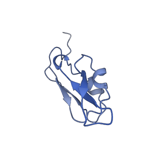 9994_6kif_N_v1-2
Structure of cyanobacterial photosystem I-IsiA-flavodoxin supercomplex