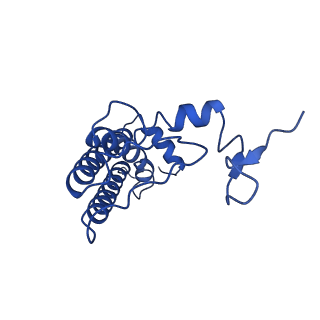 9994_6kif_V_v1-2
Structure of cyanobacterial photosystem I-IsiA-flavodoxin supercomplex