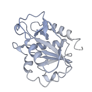 9994_6kif_X_v1-2
Structure of cyanobacterial photosystem I-IsiA-flavodoxin supercomplex