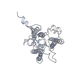 9994_6kif_Y_v1-2
Structure of cyanobacterial photosystem I-IsiA-flavodoxin supercomplex
