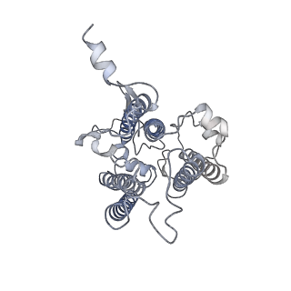 9994_6kif_Z_v1-2
Structure of cyanobacterial photosystem I-IsiA-flavodoxin supercomplex