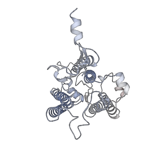 9994_6kif_a_v1-2
Structure of cyanobacterial photosystem I-IsiA-flavodoxin supercomplex