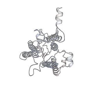 9994_6kif_b_v1-2
Structure of cyanobacterial photosystem I-IsiA-flavodoxin supercomplex