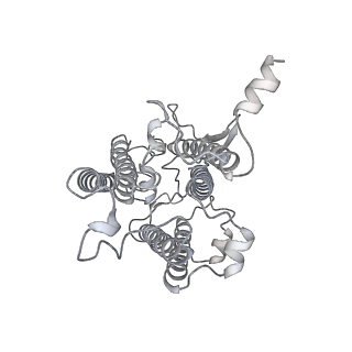 9994_6kif_c_v1-2
Structure of cyanobacterial photosystem I-IsiA-flavodoxin supercomplex