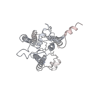 9994_6kif_d_v1-2
Structure of cyanobacterial photosystem I-IsiA-flavodoxin supercomplex