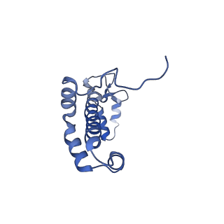 9994_6kif_j_v1-2
Structure of cyanobacterial photosystem I-IsiA-flavodoxin supercomplex