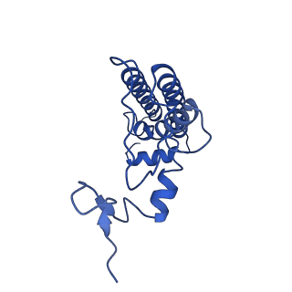 9994_6kif_n_v1-2
Structure of cyanobacterial photosystem I-IsiA-flavodoxin supercomplex
