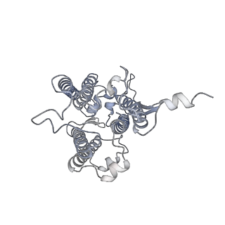 9994_6kif_q_v1-2
Structure of cyanobacterial photosystem I-IsiA-flavodoxin supercomplex