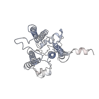 9994_6kif_r_v1-2
Structure of cyanobacterial photosystem I-IsiA-flavodoxin supercomplex