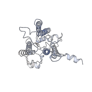 9994_6kif_s_v1-2
Structure of cyanobacterial photosystem I-IsiA-flavodoxin supercomplex