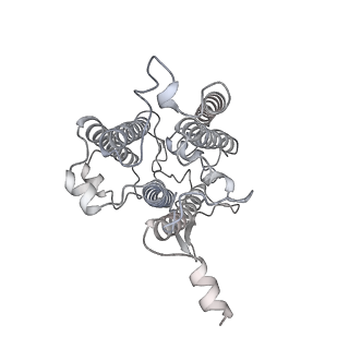 9994_6kif_u_v1-2
Structure of cyanobacterial photosystem I-IsiA-flavodoxin supercomplex