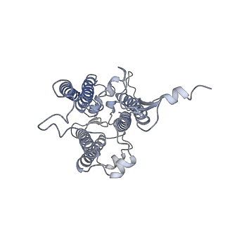 9995_6kig_1_v1-2
Structure of cyanobacterial photosystem I-IsiA supercomplex