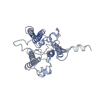 9995_6kig_2_v1-2
Structure of cyanobacterial photosystem I-IsiA supercomplex