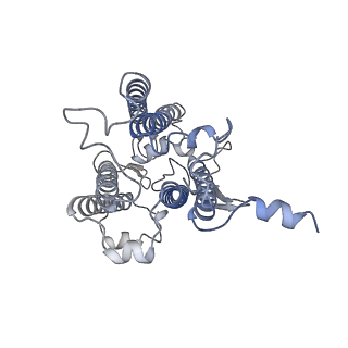 9995_6kig_3_v1-2
Structure of cyanobacterial photosystem I-IsiA supercomplex