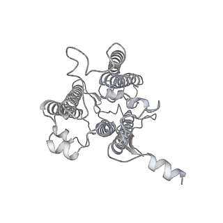 9995_6kig_4_v1-2
Structure of cyanobacterial photosystem I-IsiA supercomplex