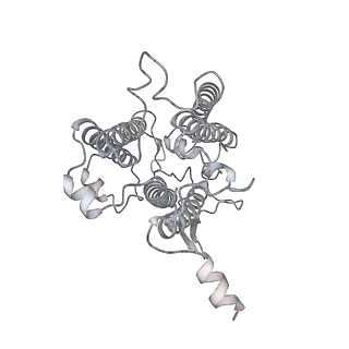 9995_6kig_5_v1-2
Structure of cyanobacterial photosystem I-IsiA supercomplex