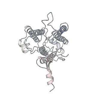 9995_6kig_6_v1-2
Structure of cyanobacterial photosystem I-IsiA supercomplex