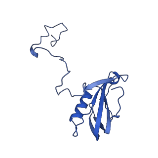 9995_6kig_D_v1-2
Structure of cyanobacterial photosystem I-IsiA supercomplex