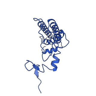 9995_6kig_L_v1-2
Structure of cyanobacterial photosystem I-IsiA supercomplex