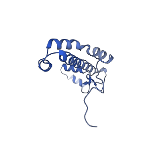 9995_6kig_R_v1-2
Structure of cyanobacterial photosystem I-IsiA supercomplex