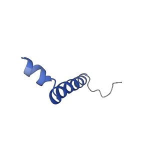 9995_6kig_T_v1-2
Structure of cyanobacterial photosystem I-IsiA supercomplex
