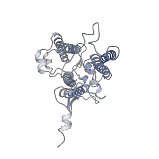 9995_6kig_Y_v1-2
Structure of cyanobacterial photosystem I-IsiA supercomplex