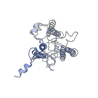 9995_6kig_a_v1-2
Structure of cyanobacterial photosystem I-IsiA supercomplex
